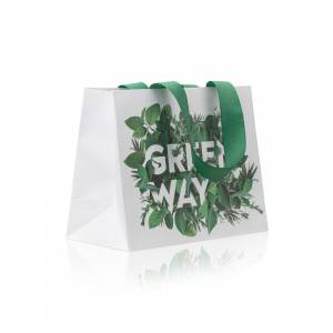 Изображение галереи: Пакет подарочный «Greenway» малый, 22 х 17 х 10 см
